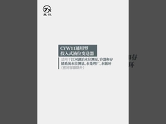 CYW11Y Transmissor universal de nível de líquido Faixa de nível 0-0,5-50mH2O Para medição de nível